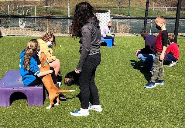 May 2021 Puppy Party in Murrysville