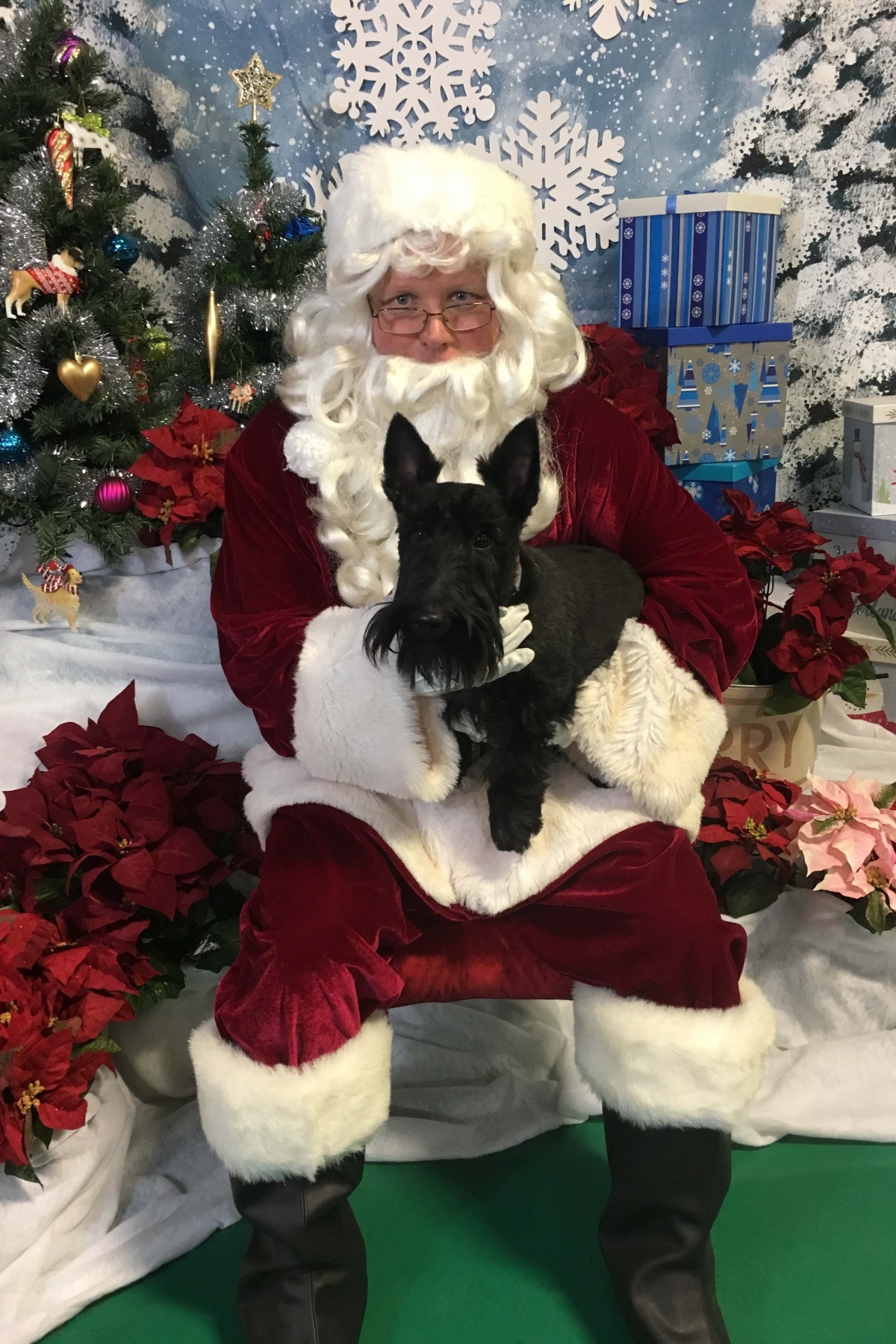 Santa Photos and Puppy Party in Murrysville