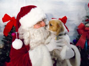 Santa Paws and Pup