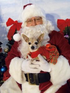 Santa Paws Photo