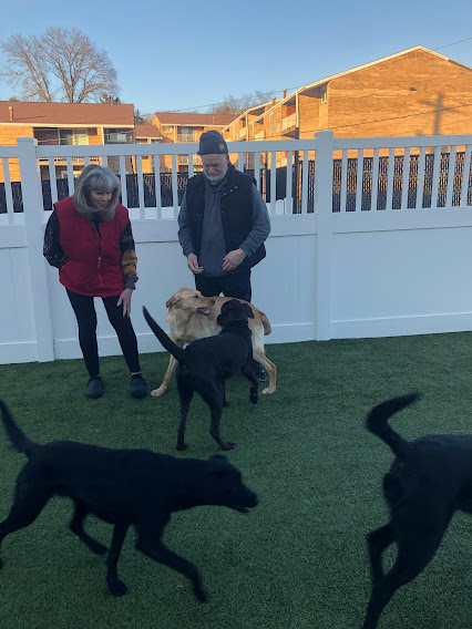 January 2023 Puppy Party – Murrysville