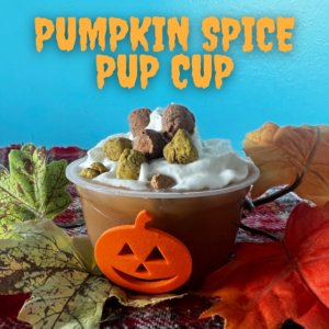 Pumpkin Spice Pup Cup