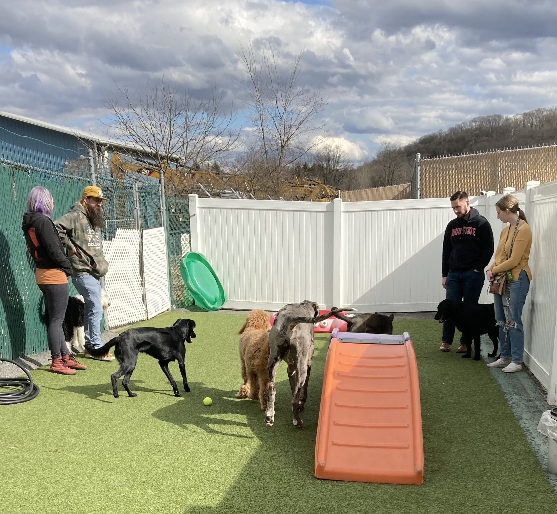 February 2024 Puppy Party – North Versailles