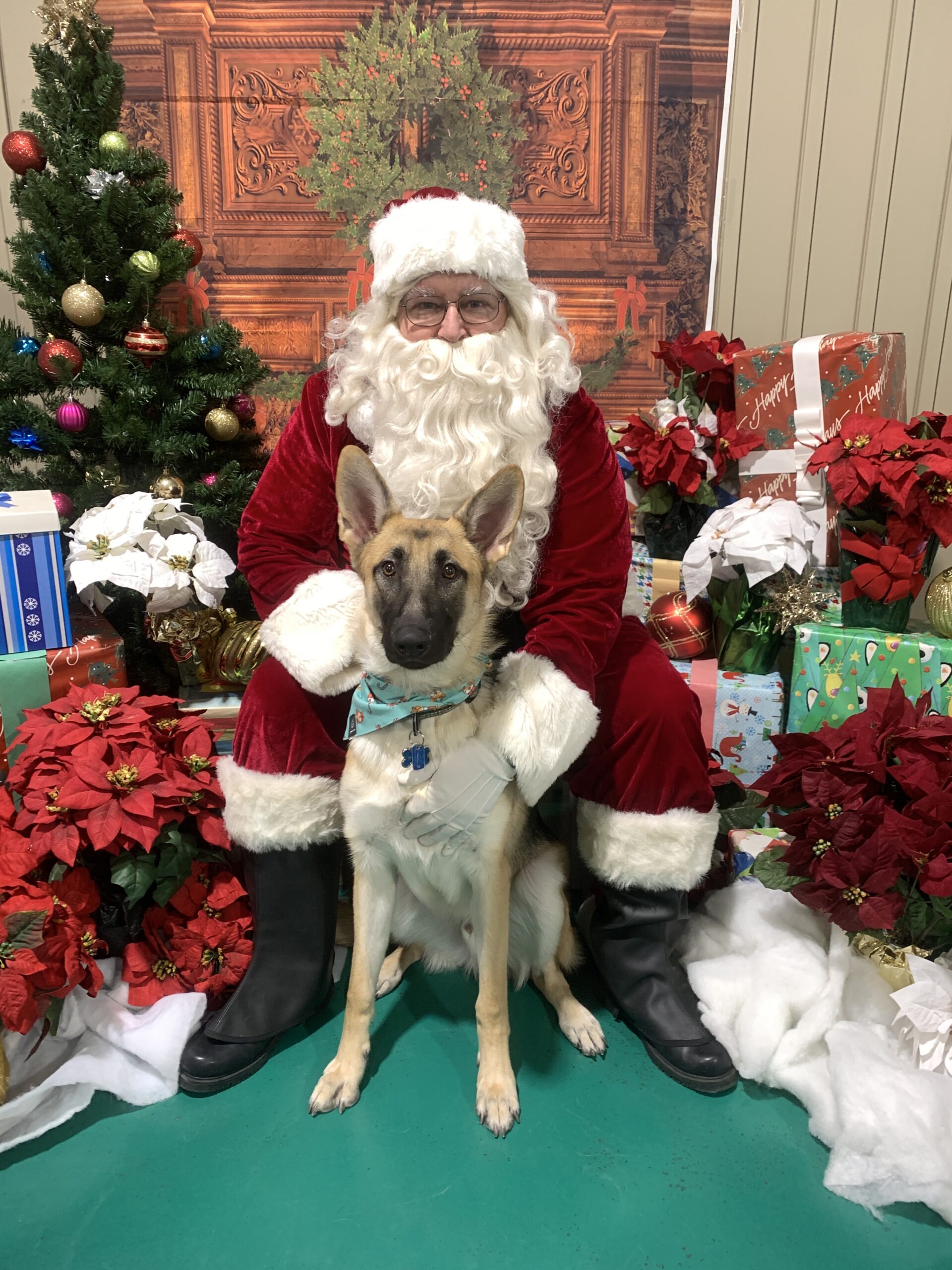 Santa Photos and Puppy Party in North Versailles