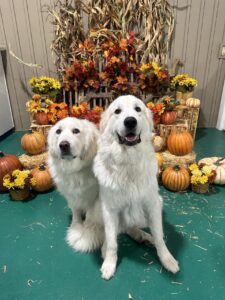 Howl-o-ween Photos